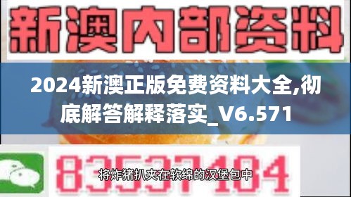 2024新澳正版免费资料大全,彻底解答解释落实_V6.571