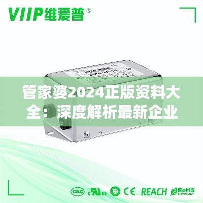 管家婆2024正版资料大全：深度解析最新企业管理软件功能与应用指南