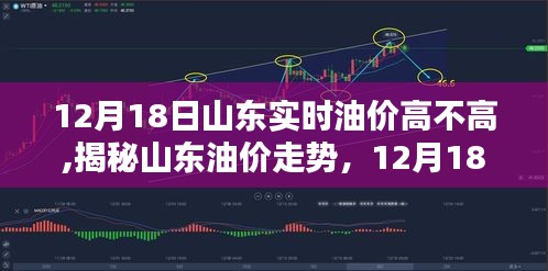 揭秘山东油价走势，揭秘油价高涨背后的真相与最新油价动态分析（12月18日）