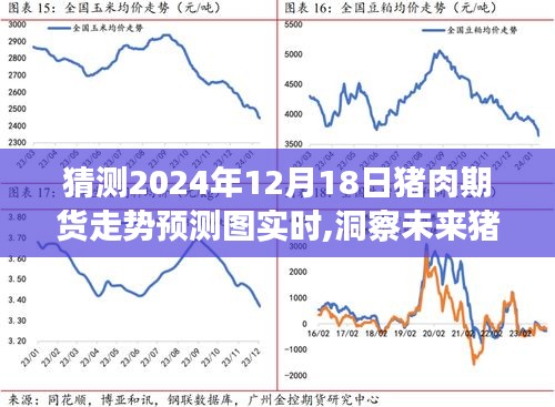 2024年12月18日猪肉期货走势预测图解析与未来市场洞察