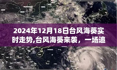 台风海葵来袭，追寻自然宁静的奇妙旅行实时走势（2024年12月18日）