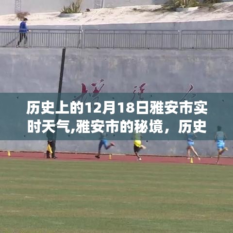 浅笑轻吟梦一曲