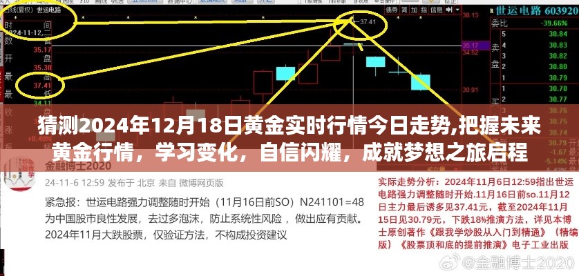 2024年黄金行情展望，今日走势预测与未来把握，启程梦想之旅