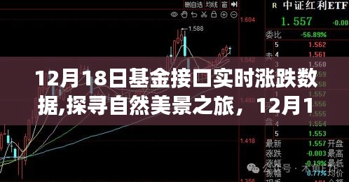 揭秘基金实时涨跌背后的故事，探寻自然美景之旅的启示（12月18日）