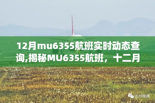 揭秘MU6355航班，十二月飞行轨迹与时代印记的实时动态查询