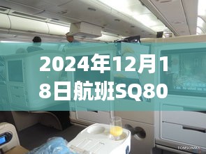 2024年12月18日航班SQ802实时动态查询与追踪，掌握行程细节！