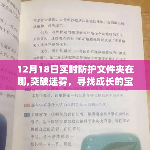 揭秘实时防护文件夹位置，成长的宝藏与变化中的守护之地