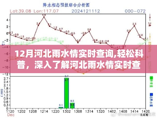 河北雨水情实时查询系统深度解析，十二月雨水情报悉掌握，轻松科普指南