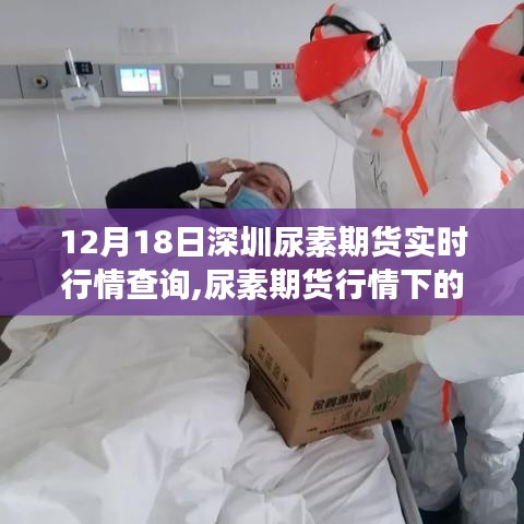 深圳尿素期货实时行情与冬日自然美景探索的心灵之旅