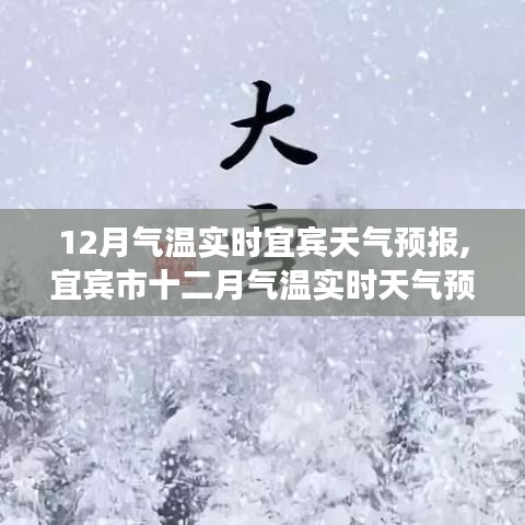 宜宾市十二月实时气温天气预报，气候背景与重要事件影响分析