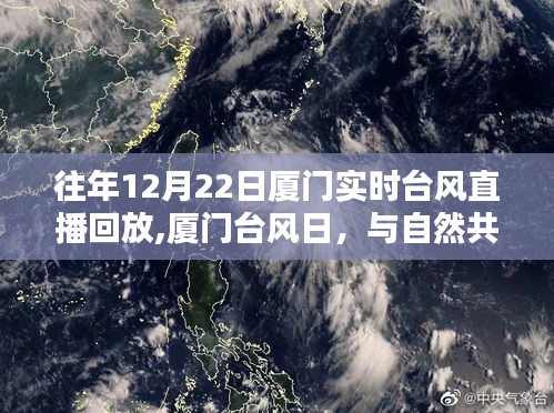 厦门台风日，与自然共舞，寻找内心的宁静港湾回放纪实