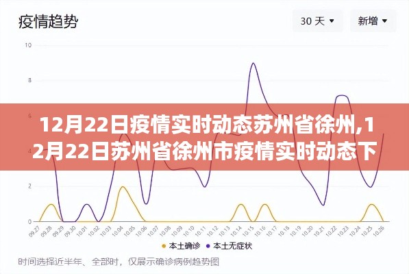 苏州徐州市疫情防控观察与思考，实时动态下的防控措施分析（最新更新）