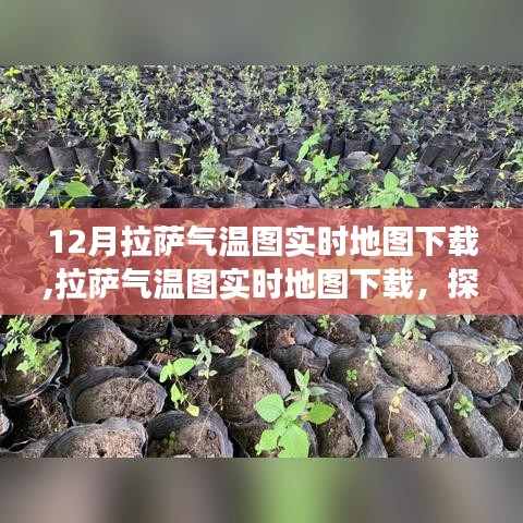 探寻气候变迁背后的影响，拉萨气温实时地图下载及分析