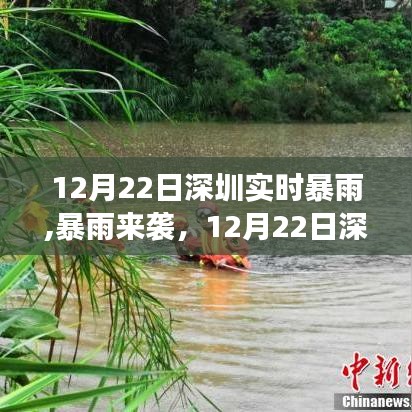 深圳暴雨来袭，深度解析12月22日实时暴雨事件