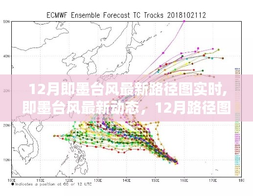 2024年12月26日 第15页