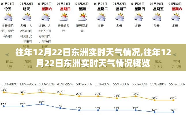 往年12月22日东洲实时天气概览及情况分析