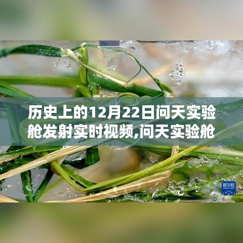 回顾历史上的辉煌时刻，问天实验舱发射回顾与实时视频记录