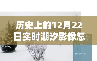 揭秘历史潮汐影像，解析12月22日实时潮汐影像，特性、体验、竞品对比与用户洞察