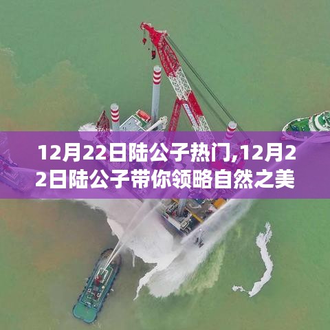 陆公子带你领略自然之美，一场寻找内心平静的奇妙旅行（12月22日热门回顾）