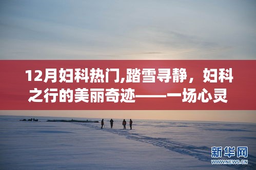 十二月妇科之旅，踏雪寻静，心灵与自然共舞的美丽奇迹