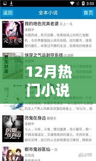 12月热门小说全面评测与介绍，一网打尽！