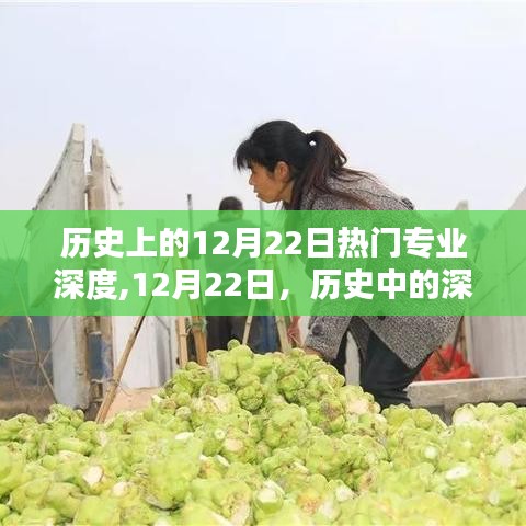 揭秘历史上的热门专业深度，笑声背后的历史深度解读日（12月22日）