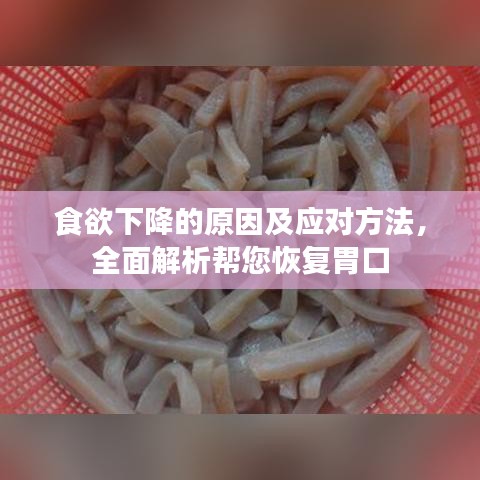 食欲下降的原因及应对方法，全面解析帮您恢复胃口