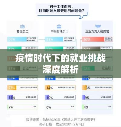 疫情时代下的就业挑战深度解析