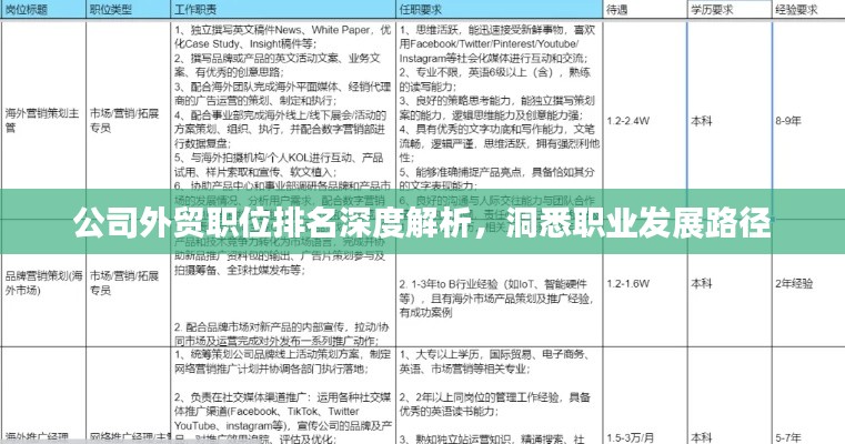 公司外贸职位排名深度解析，洞悉职业发展路径