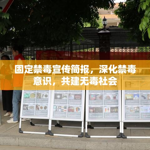 固定禁毒宣传简报，深化禁毒意识，共建无毒社会