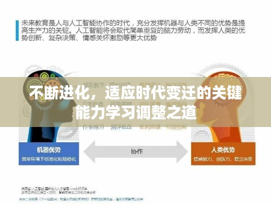 不断进化，适应时代变迁的关键能力学习调整之道