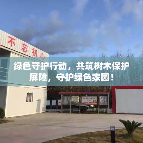 绿色守护行动，共筑树木保护屏障，守护绿色家园！