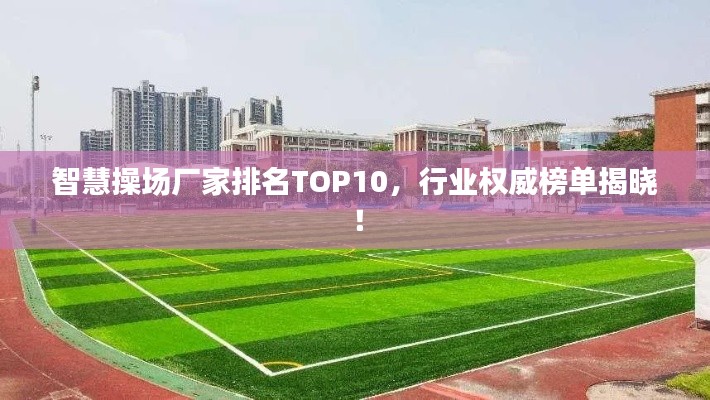 智慧操场厂家排名TOP10，行业权威榜单揭晓！