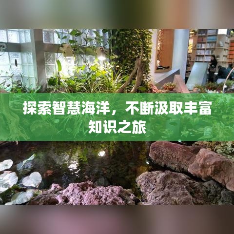 探索智慧海洋，不断汲取丰富知识之旅