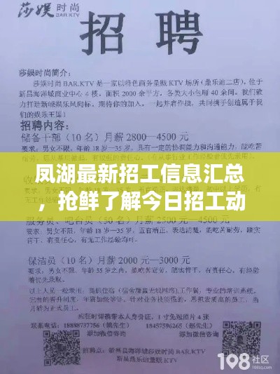 凤湖最新招工信息汇总，抢鲜了解今日招工动态