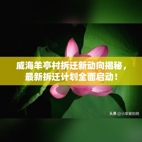 威海羊亭村拆迁新动向揭秘，最新拆迁计划全面启动！