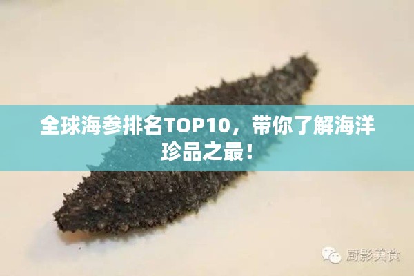 全球海参排名TOP10，带你了解海洋珍品之最！