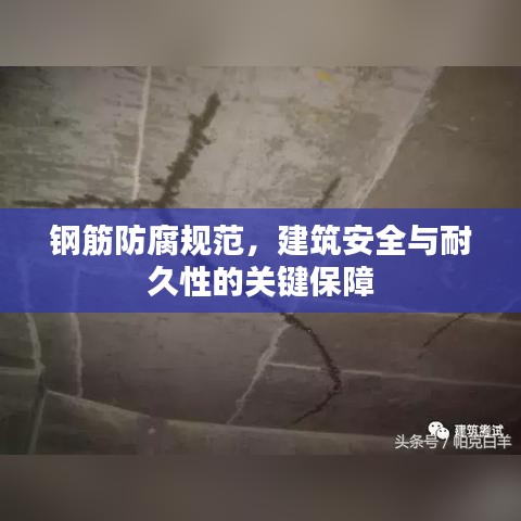 钢筋防腐规范，建筑安全与耐久性的关键保障