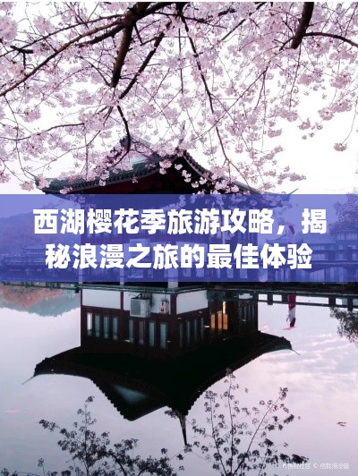 西湖樱花季旅游攻略，揭秘浪漫之旅的最佳体验方式