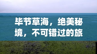 毕节草海，绝美秘境，不可错过的旅游攻略！