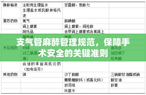 支气管麻醉管理规范，保障手术安全的关键准则