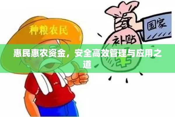 惠民惠农资金，安全高效管理与应用之道