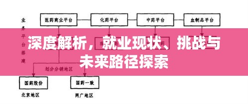 深度解析，就业现状、挑战与未来路径探索