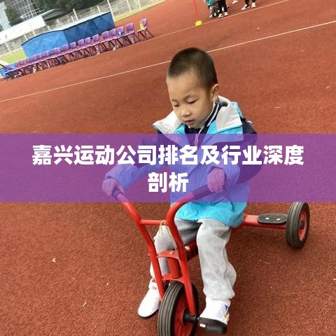 嘉兴运动公司排名及行业深度剖析