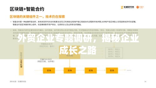 外贸企业专题调研，揭秘企业成长之路