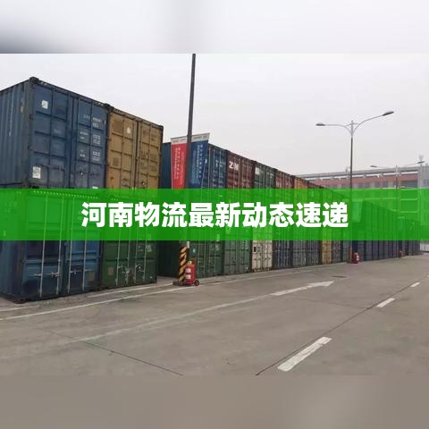 河南物流最新动态速递