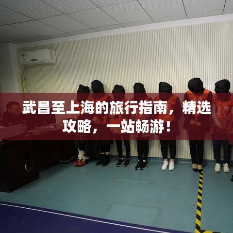 武昌至上海的旅行指南，精选攻略，一站畅游！