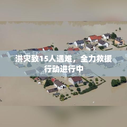 2025年5月11日