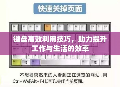 键盘高效利用技巧，助力提升工作与生活的效率