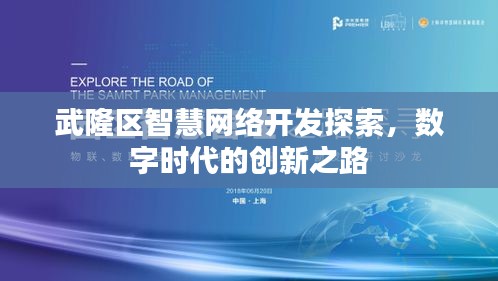武隆区智慧网络开发探索，数字时代的创新之路